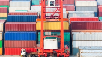 container freight station, container yard and transtainer