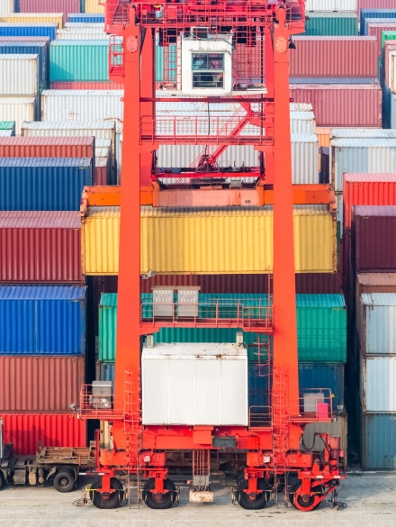 container freight station, container yard and transtainer